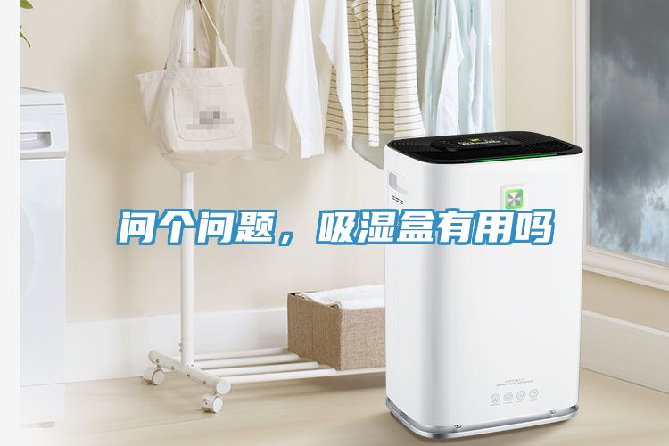問個(gè)問題，吸濕盒有用嗎