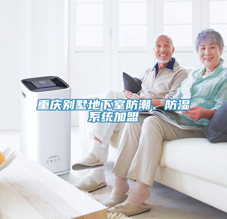 重慶別墅地下室防潮、防濕系統加盟