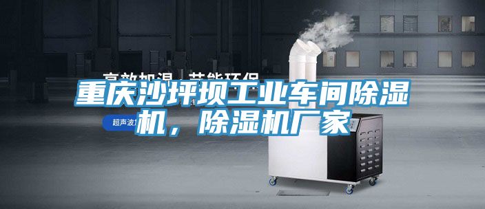 重慶沙坪壩工業車間除濕機，除濕機廠家