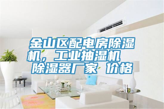 金山區配電房除濕機，工業抽濕機  除濕器廠家 價格