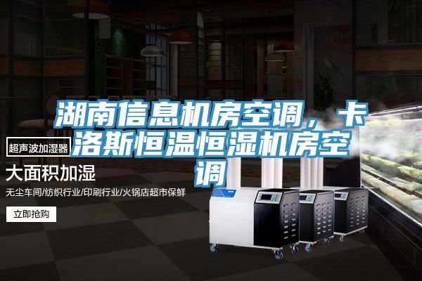 湖南信息機(jī)房空調(diào)，卡洛斯恒溫恒濕機(jī)房空調(diào)