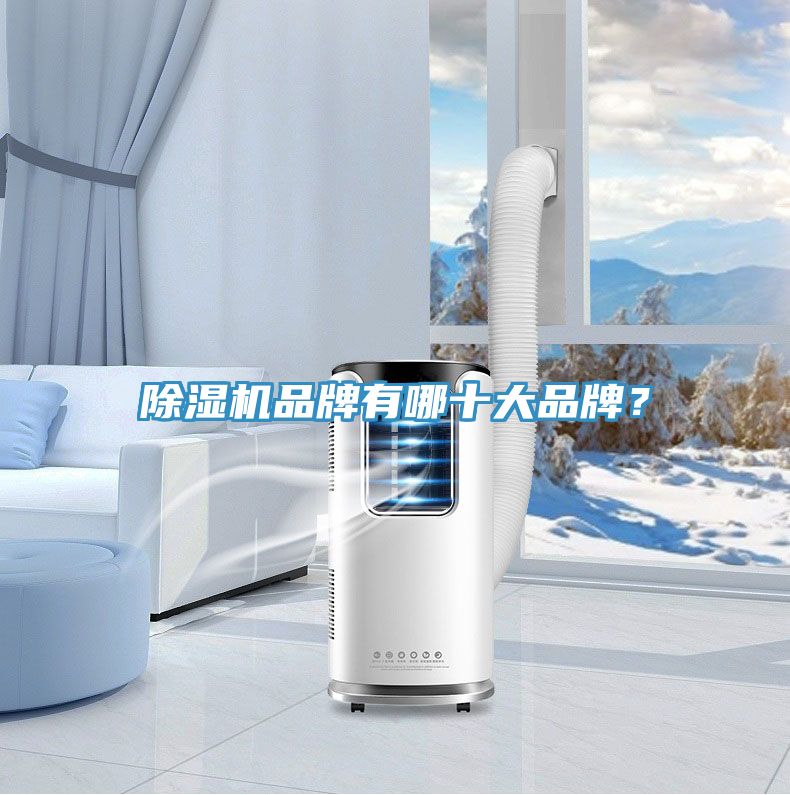 除濕機品牌有哪十大品牌？