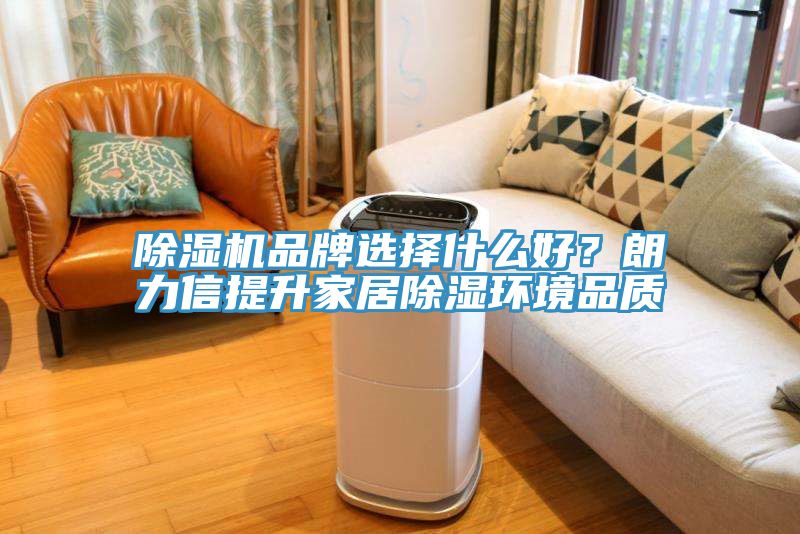 除濕機品牌選擇什么好？朗力信提升家居除濕環(huán)境品質