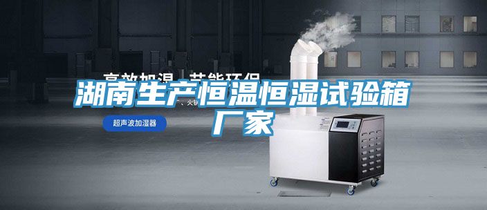 湖南生產(chǎn)恒溫恒濕試驗(yàn)箱廠(chǎng)家
