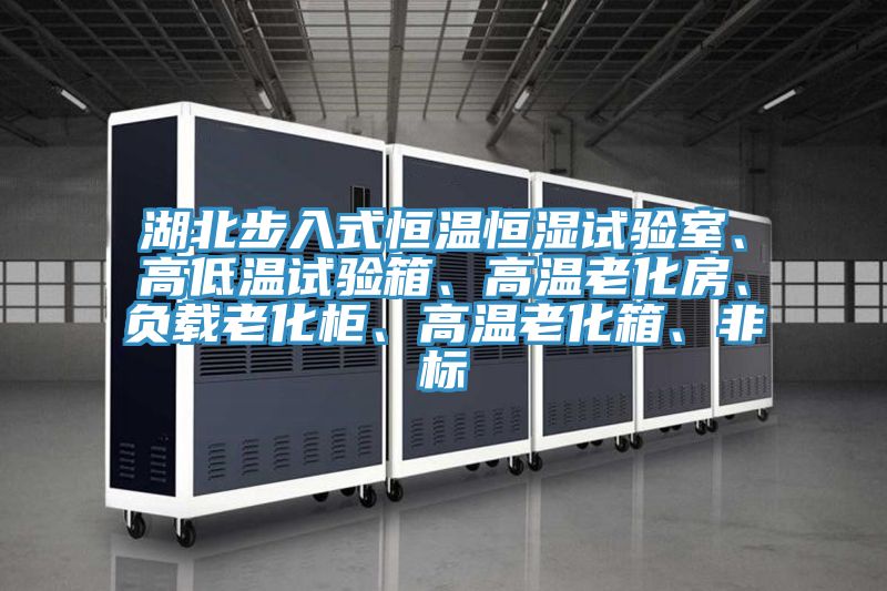湖北步入式恒溫恒濕試驗(yàn)室、高低溫試驗(yàn)箱、高溫老化房、負(fù)載老化柜、高溫老化箱、非標(biāo)