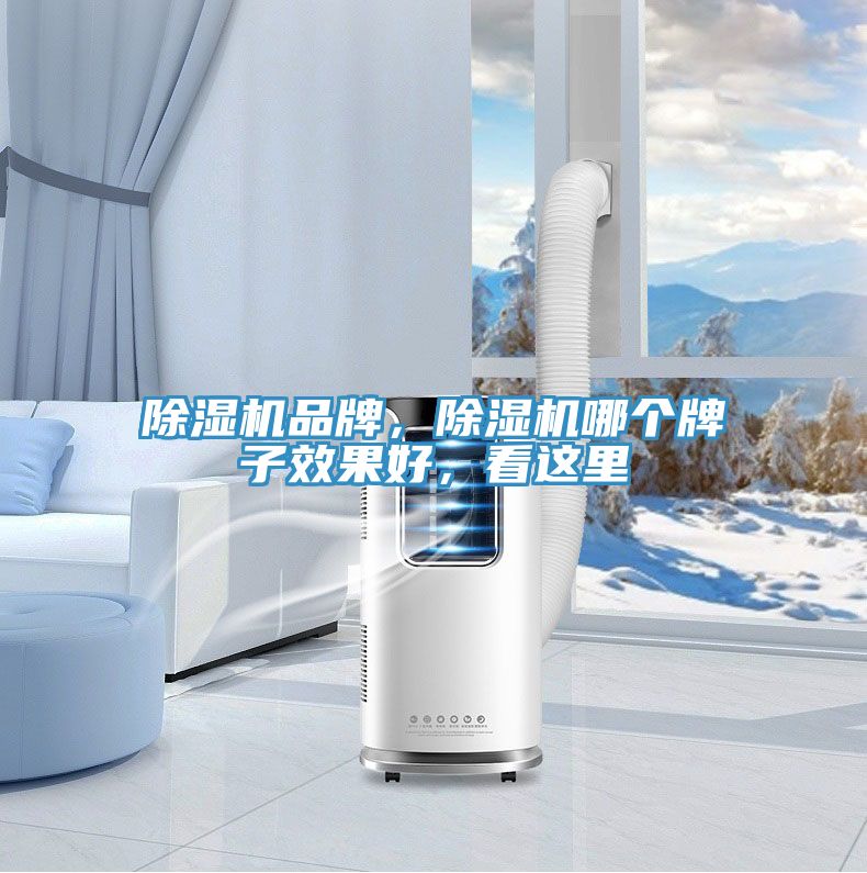 除濕機品牌，除濕機哪個牌子效果好，看這里