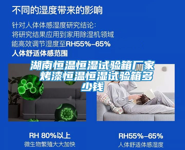湖南恒溫恒濕試驗(yàn)箱廠(chǎng)家 烤漆恒溫恒濕試驗(yàn)箱多少錢(qián)