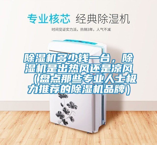 除濕機(jī)多少錢一臺(tái)，除濕機(jī)是出熱風(fēng)還是涼風(fēng)（盤點(diǎn)那些專業(yè)人士極力推薦的除濕機(jī)品牌）