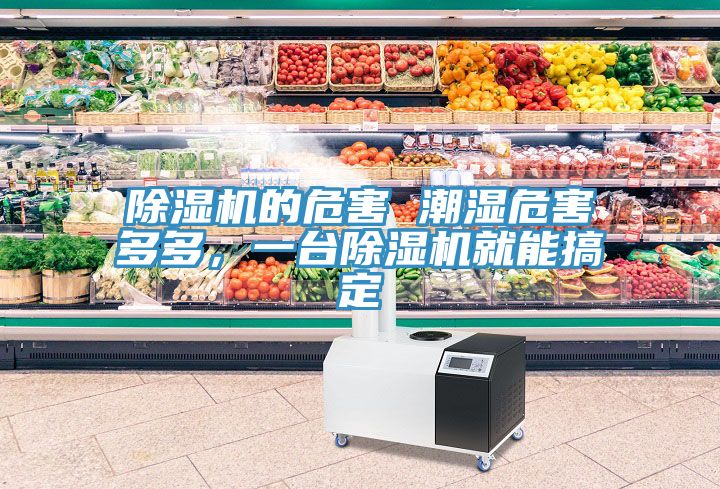 除濕機(jī)的危害 潮濕危害多多，一臺除濕機(jī)就能搞定